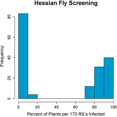 Reliable DNA Markers for a Previously Unidentified, Yet Broadly Deployed Hessian Fly Resistance Gene on Chromosome 6B in Pacific Northwest Spring Wheat Varieties